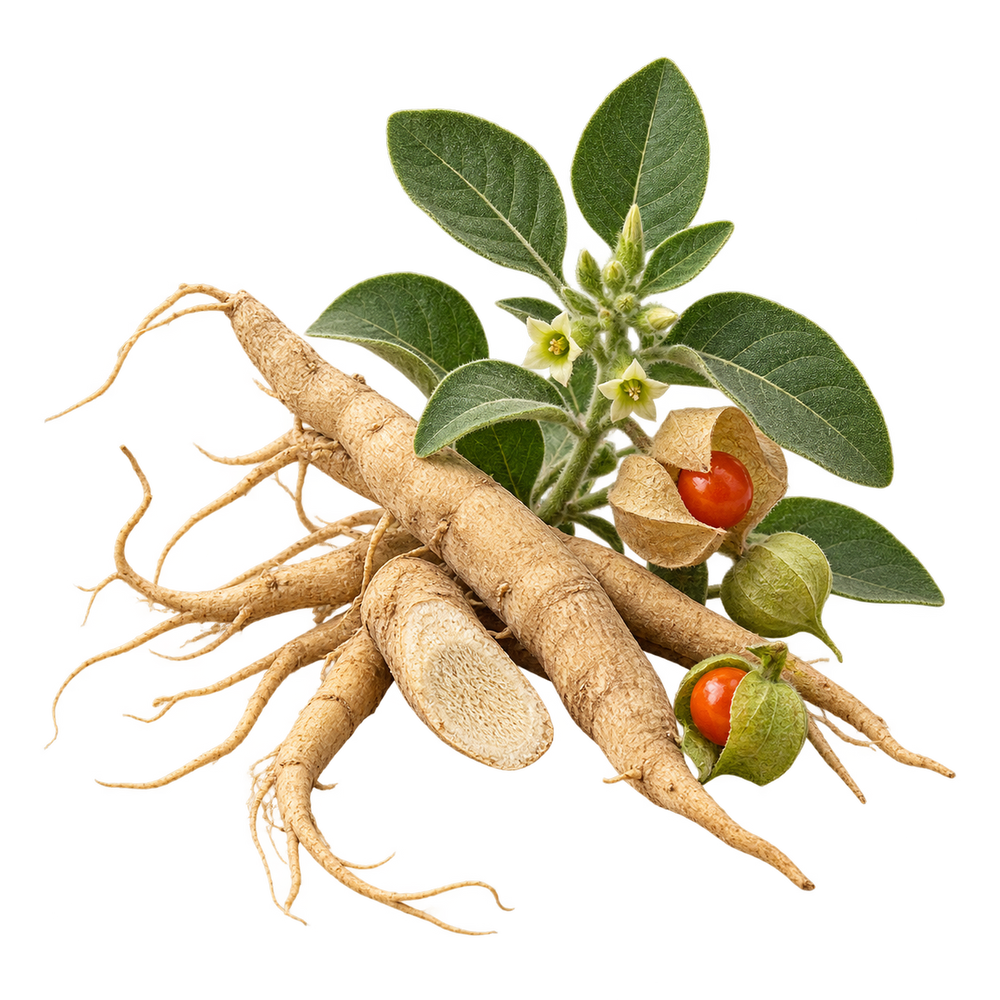 Ashwagandha