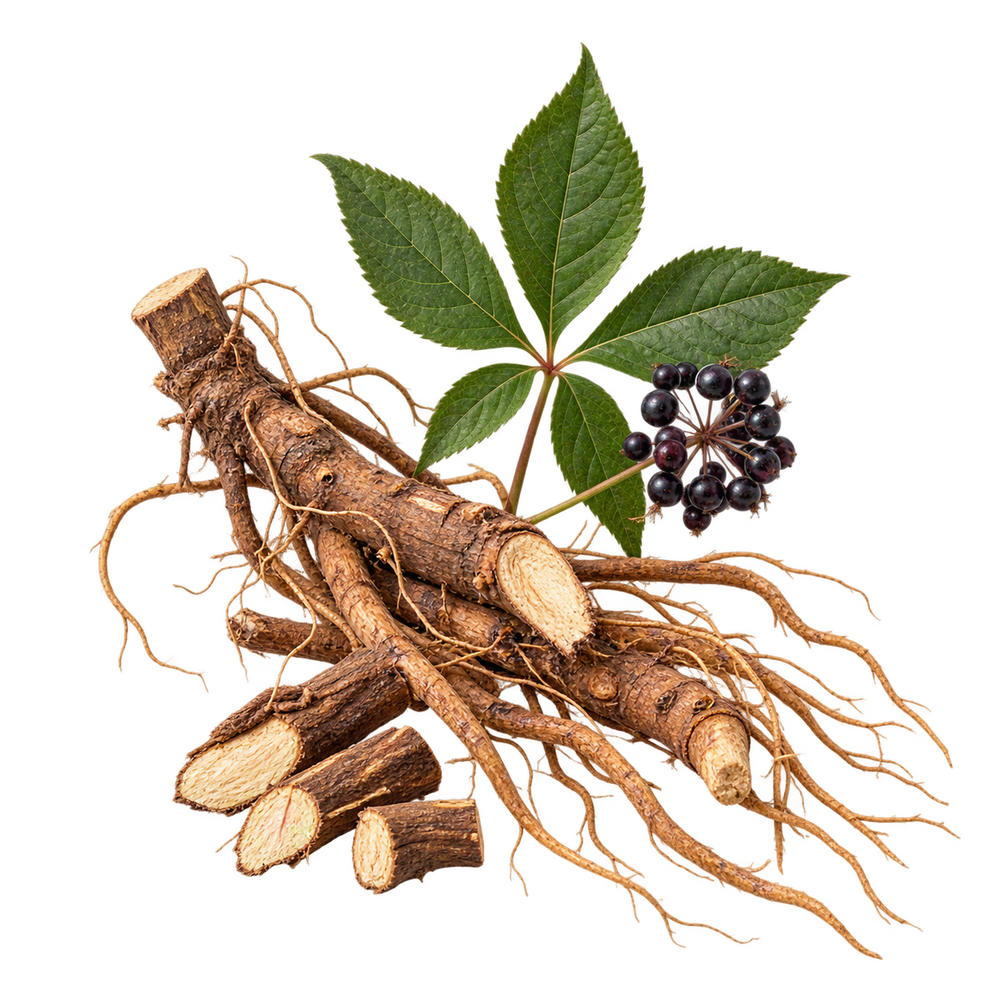 Eleuthero Root